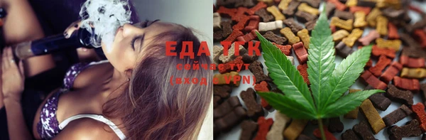 стаф Аркадак