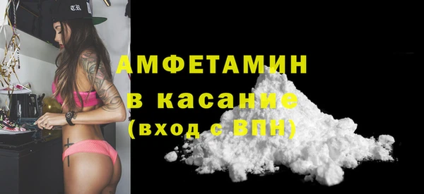 стаф Аркадак