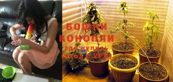 соль ск Арсеньев