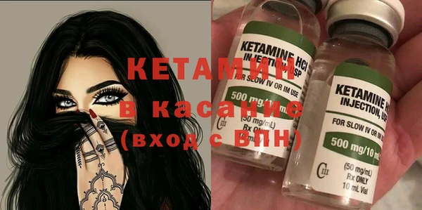 стаф Аркадак