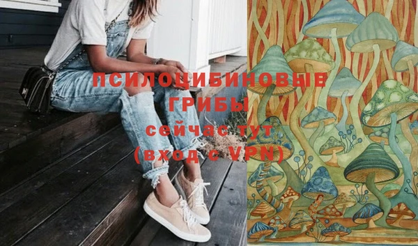 соль ск Арсеньев