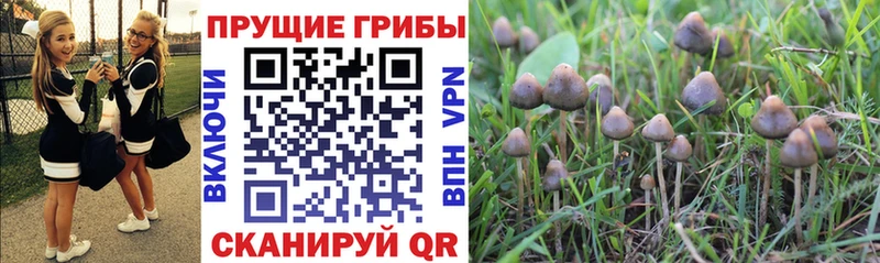 что такое Новая Ляля Галлюциногенные грибы мухоморы